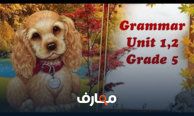 جرامر الصف الخامس الترم الأول