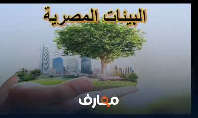 الصف السادس الابتدائي ترم اول