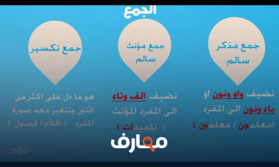 اللغة العربية الخامس الابتدائي الترم الأول
