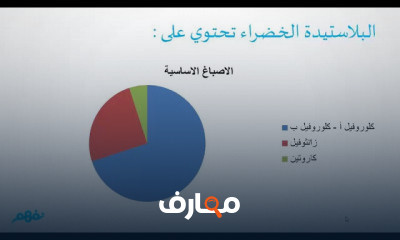 الاحياء الثانويه العامه
