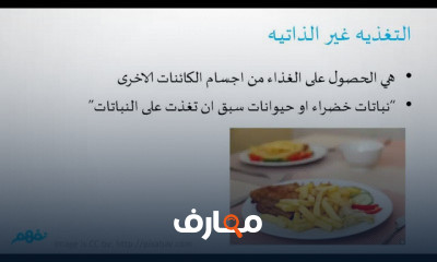 الاحياء الثانى الثانوى