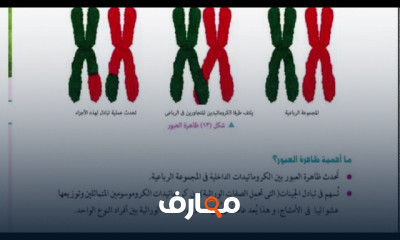 علوم ثالثة اعدادي الترم الاول