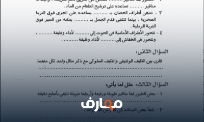 علوم اولي اعدادي الترم الاول