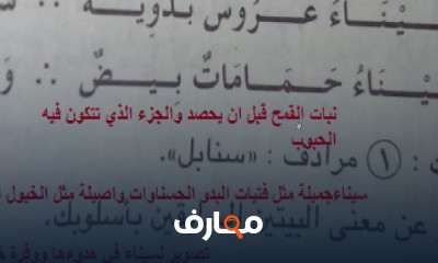 عربي للصف الثاني الاعدادي الترم الاول