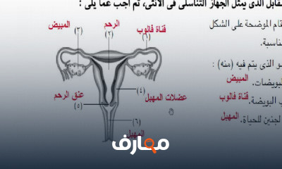 العلوم 2 اعدادي ترم 2