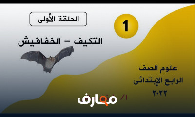 علوم رابعة ابتدائى ترم أول