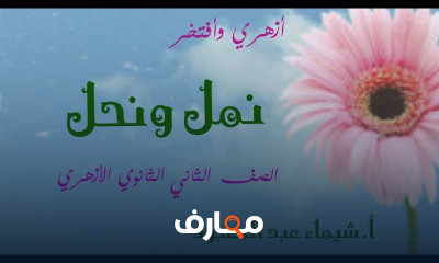 مطالعة الصف الثاني الثانوي الأزهري الترم الثاني