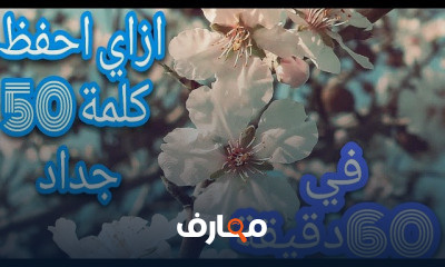 انجليزي تانية ثانوى ترم ثاني