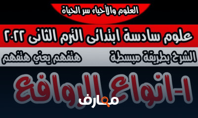 علوم سادسة ابتدائى ترم ثانى