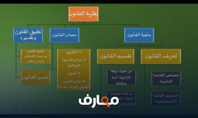 المدخل إلى القانون نظرية القانون