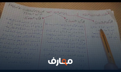 القانون الجنائي الخاص