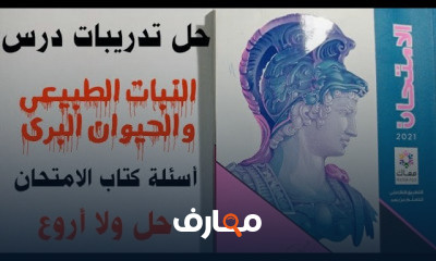 دراسات الصف الأول فصل دراسى ثانى