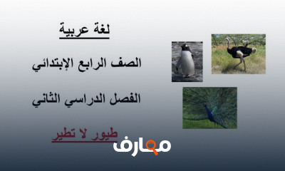 لغة عربية الصف الرابع الإبتدائي ترم 2