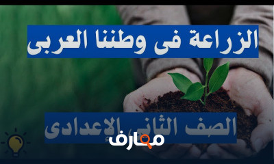 دراسات تانية اعدادى الترم الثانى