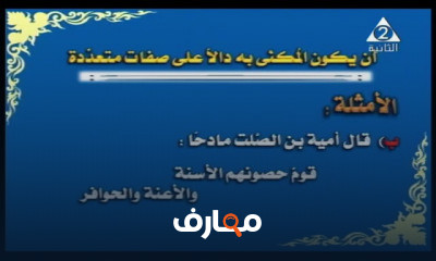 بلاغة وأدب ونصوص للثانوية الأزهرية عام