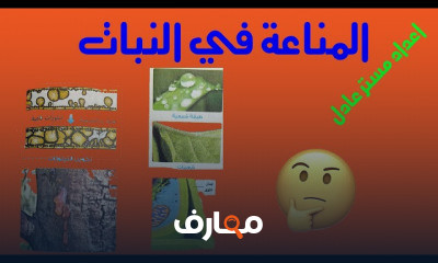 احياء ثانوية عامة