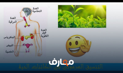 احياء 3 ثانوي دفعة التابلت