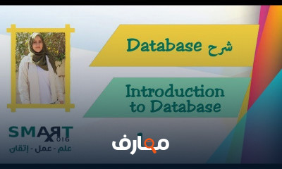 نظم قواعد البيانات