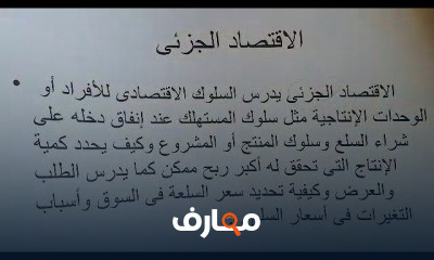 مبادئ الاقتصاد الجزئي