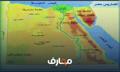 معادلة كلية التجارة