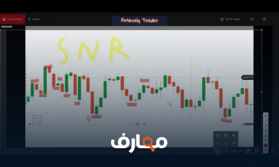 كورس التداول الاحترافى