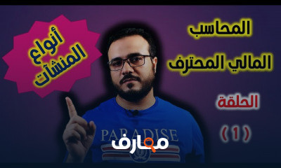 المحاسب المالي المحترف