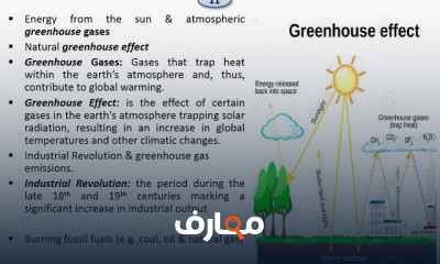 اقتصاديات الموارد والبيئة الفرقة الاولي انجليزي