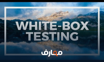 أساسيات White Box Testing