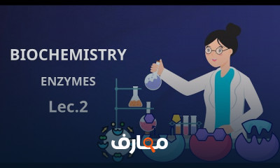 أساسيات الكيمياء الحيوية