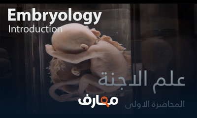 مادة علم الاجنة