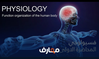 فسيولوجيا جسم الإنسان