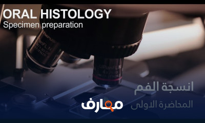 علم أنسجة الفم