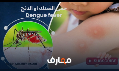 الأدوية الباسطة للعضلات