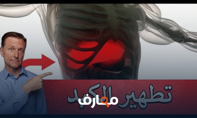 طريقة تنظيف الكبد الدهني