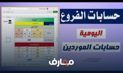 حسابات المنشأة والفروع على Excel