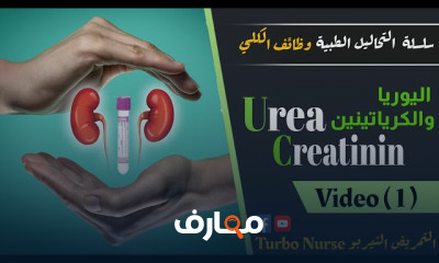 كيفية قراءة تحليل السكر التراكمي