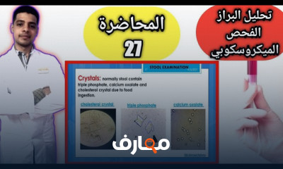 كيفية قراءة تحليل مزرعة البول