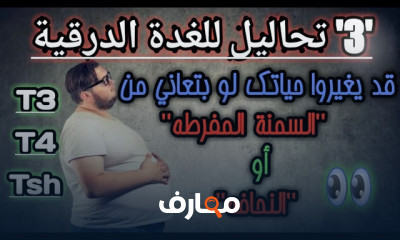 قراءة تحليل الحمل الرقمي