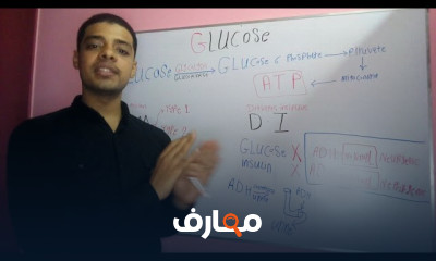 قراءة تحليل السكر التراكمي