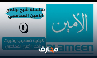 القيود اليومية ببرنامج El Ameen account