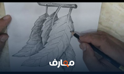 طريقة رسم أوراق الشجر