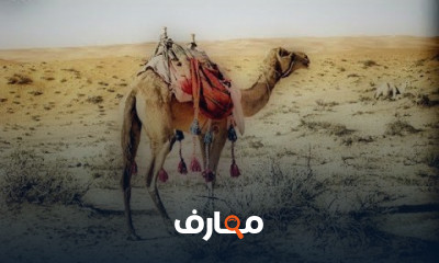 علم الفراسة الشافعي