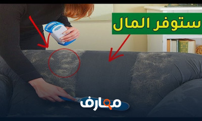 طرق تقليل تساقط شعر القطط