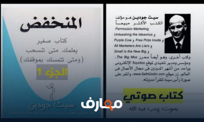 ملخص كتاب المنخفض لسيث جودين