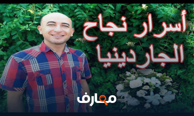 شتلة النعناع