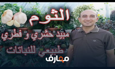 طريقة التخلص من النمل بالزرع