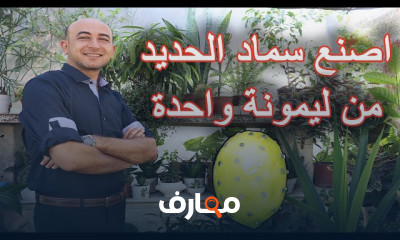 طريقة صناعة سماد الحديد