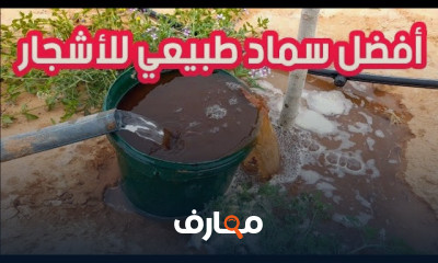 أفضل سماد طبيعي للنباتات