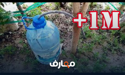 طريقة الري بالتنقيط