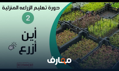 الزراعة المنزلية